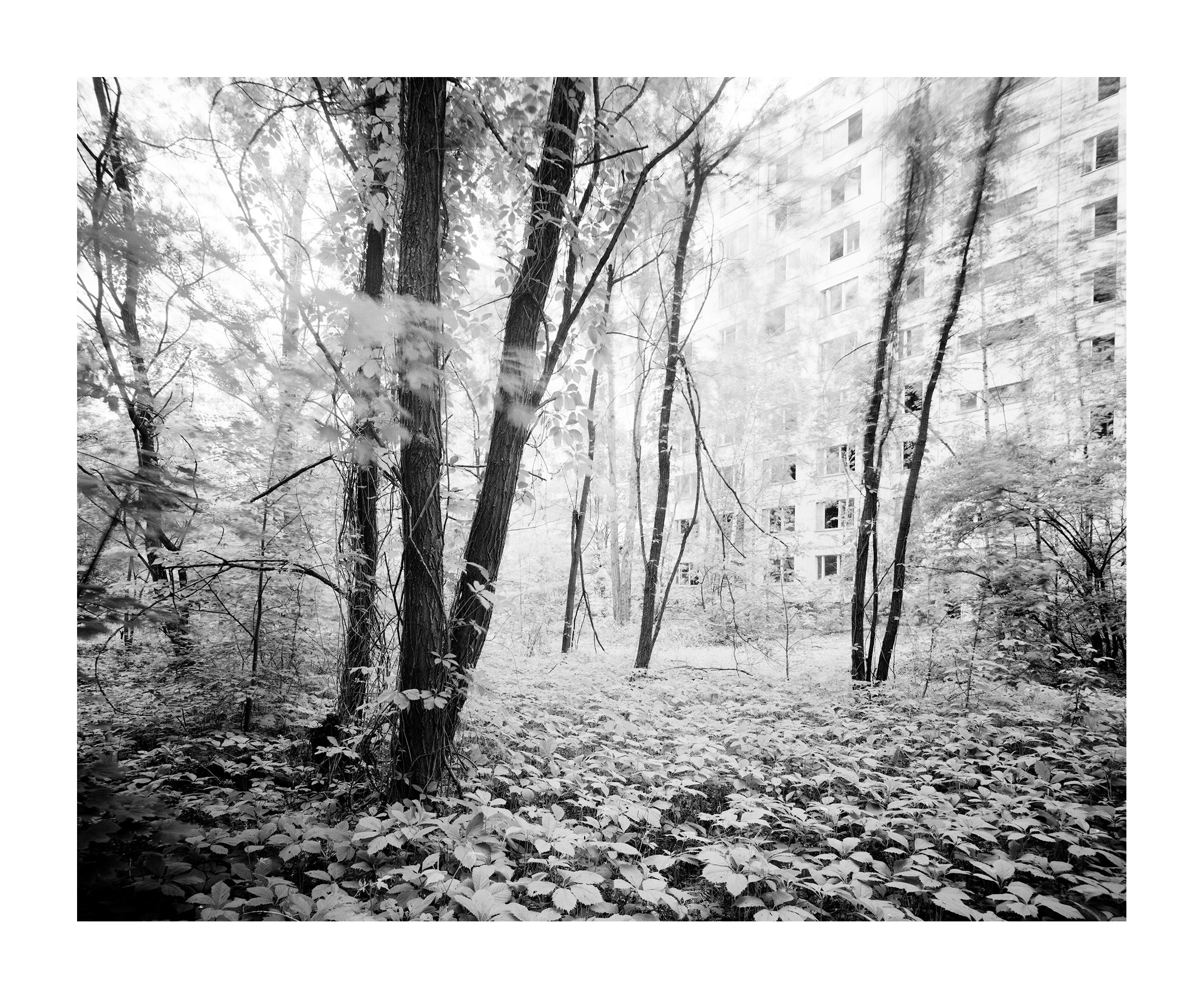 PRYPJAT | 51°24´06,2´´N 30°02´18,7´´O